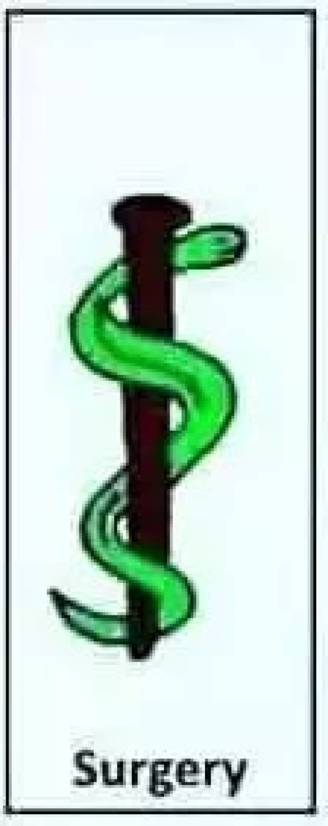 各科室蛇杖logo,这条蛇要被玩坏了