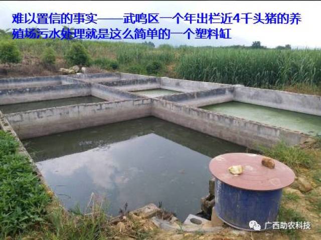 养殖场污水处理