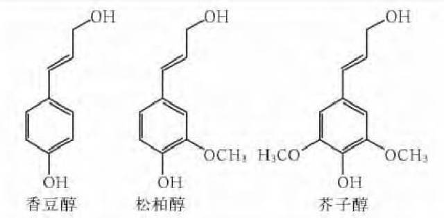 每年仅造纸业提供的木质素就超过了 2500万t 2 含碳量高,多芳环结构