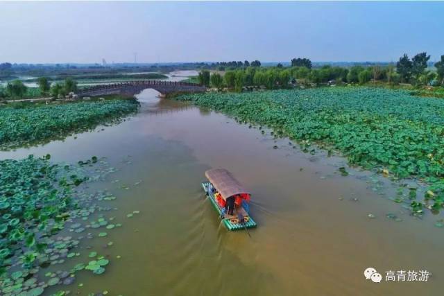 蓑衣樊村旅游湿地,独特的风光和生态,形成了富有吸引力的一种不是江南