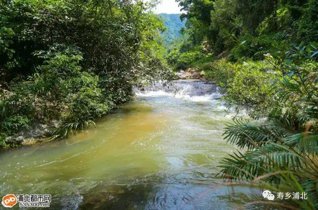 官垌大山深处这段河流小瀑布竟多达7个,美呆!适宜做漂流