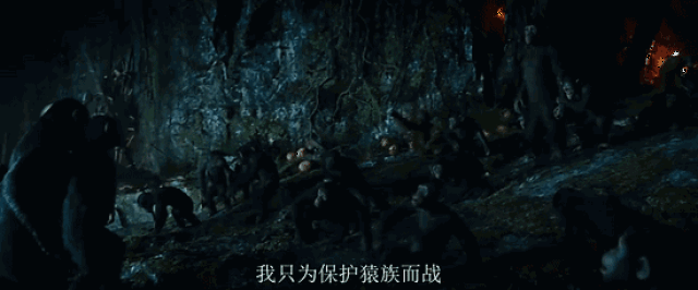 不光特效牛到炸裂,这只全球最帅的猩猩又一次拷问了全人类……
