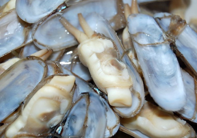 海鲜新吃饭,凉拌蛏子,清爽美味不油腻