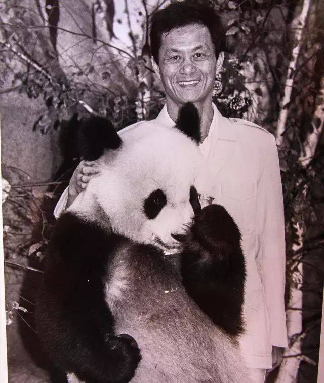 传奇大熊猫"巴斯"的最后时光:临终前,她逼着自己吃苦药……周六去跟她