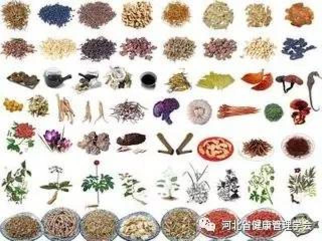 "药食同源"包括以下四个方面特点:一是均衡人体,调节内分泌腺,使内