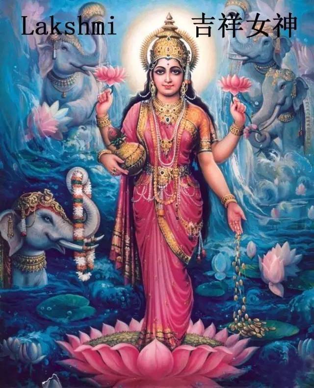 走进"九夜节"【bilingual】 # happy navaratri
