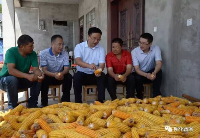 龙兆学同建卡贫困户蒲元礼等一起劳动