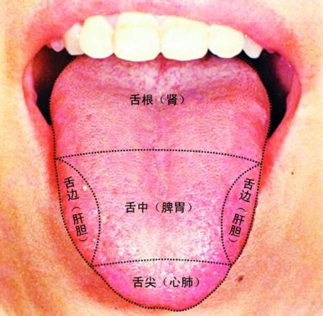 人口手足舌牙耳目金木_认一认5ppt下载