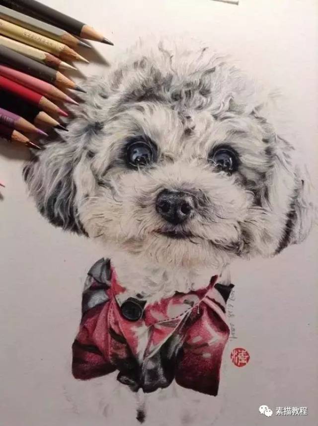彩铅教程||如何彩铅画出毛茸茸的狗狗?