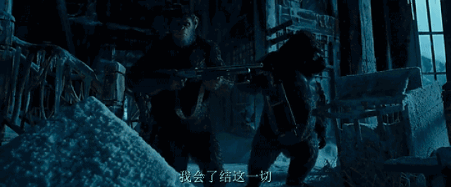 不光特效牛到炸裂,这只全球最帅的猩猩又一次拷问了全人类……