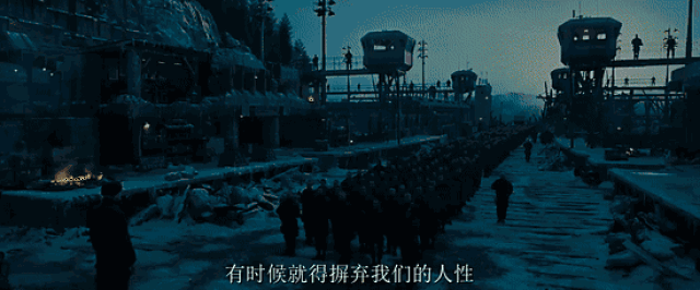 不光特效牛到炸裂,这只全球最帅的猩猩又一次拷问了全人类……