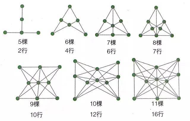 每行栽4棵时,不同棵树的树木最多能栽的行数.