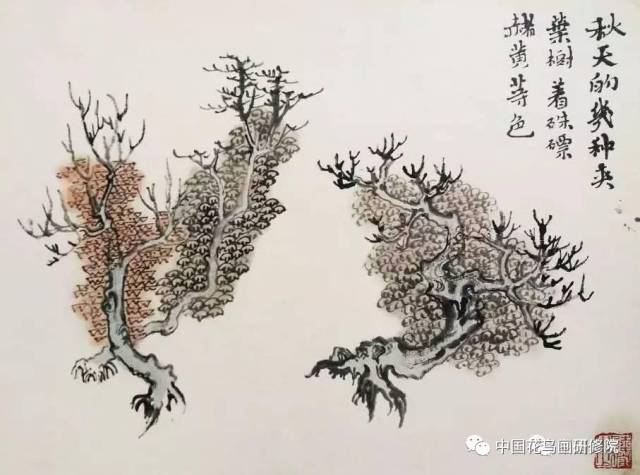 陆俨少课徒画稿:树的组合画法与夹叶树法