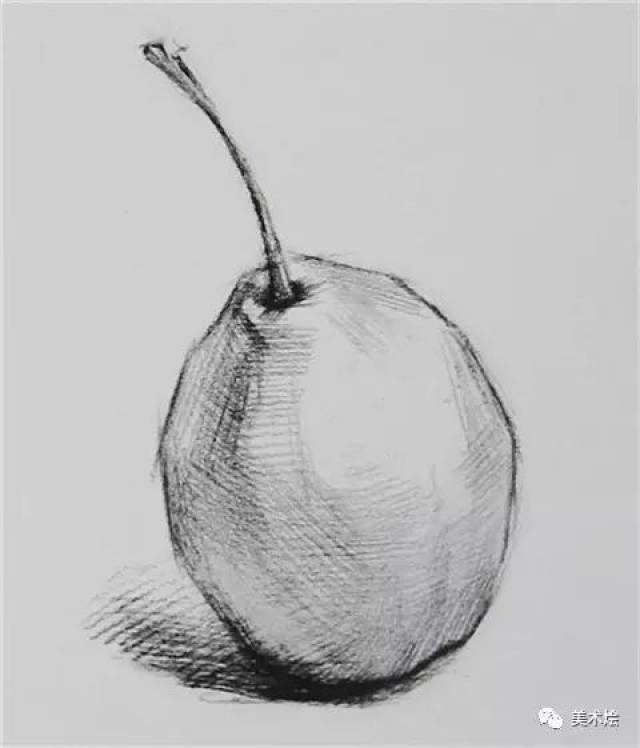素描单体画法:梨子的具体画法步骤解析