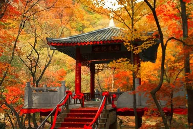 中国最早的秋天在东北 美得无可救药,只有去一趟才知道