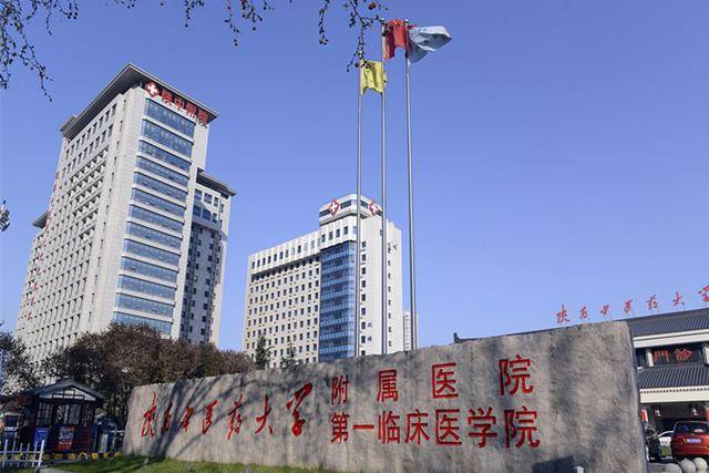 报道:陕中大附院妇科再一次成功切除盆腔巨大包块