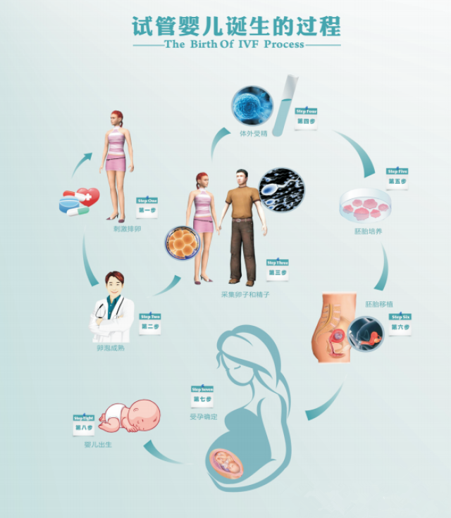 试管婴儿通常分为三代 第一代即常规体外受精-胚胎移植技术(ivf-et)