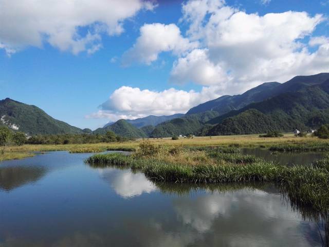 中国最美的高山湿地——大九湖