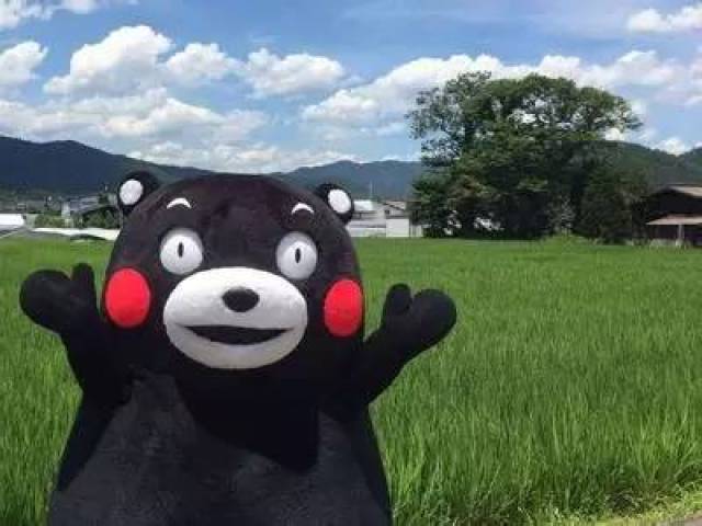 熊本熊主题展山东首站9.23驾临济南!即将开展!