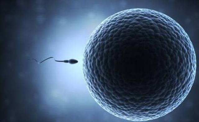 影响试管婴儿成功率,有这些因素!