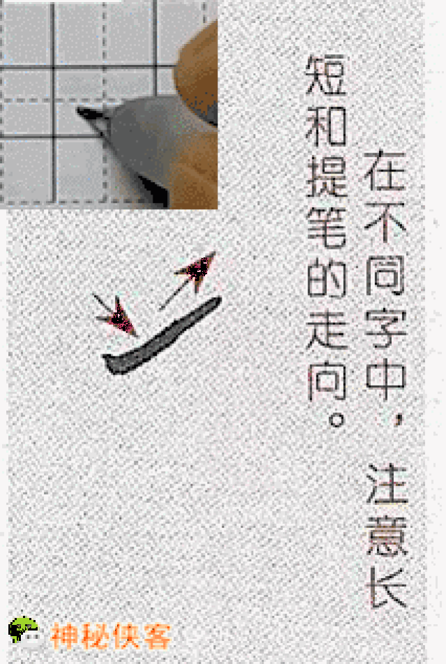 史上最佳硬笔动态图教程,实力示范,讲解详细,初学者的
