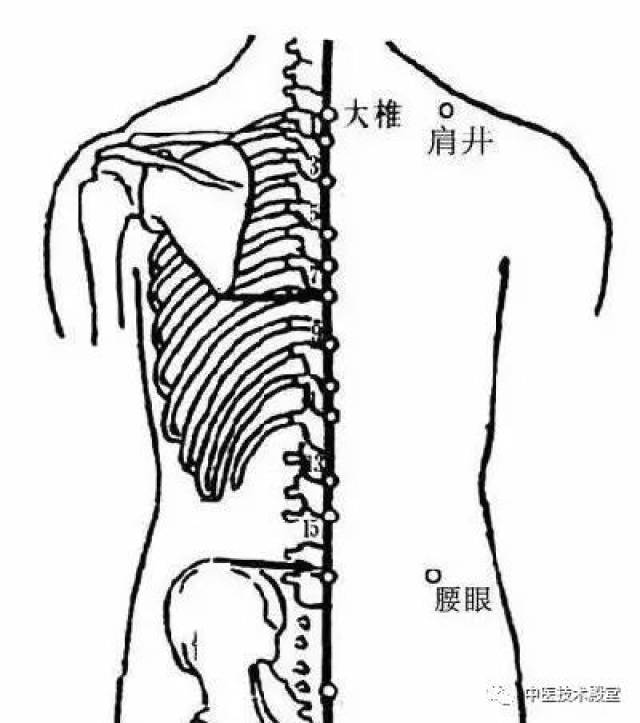 腰眼穴