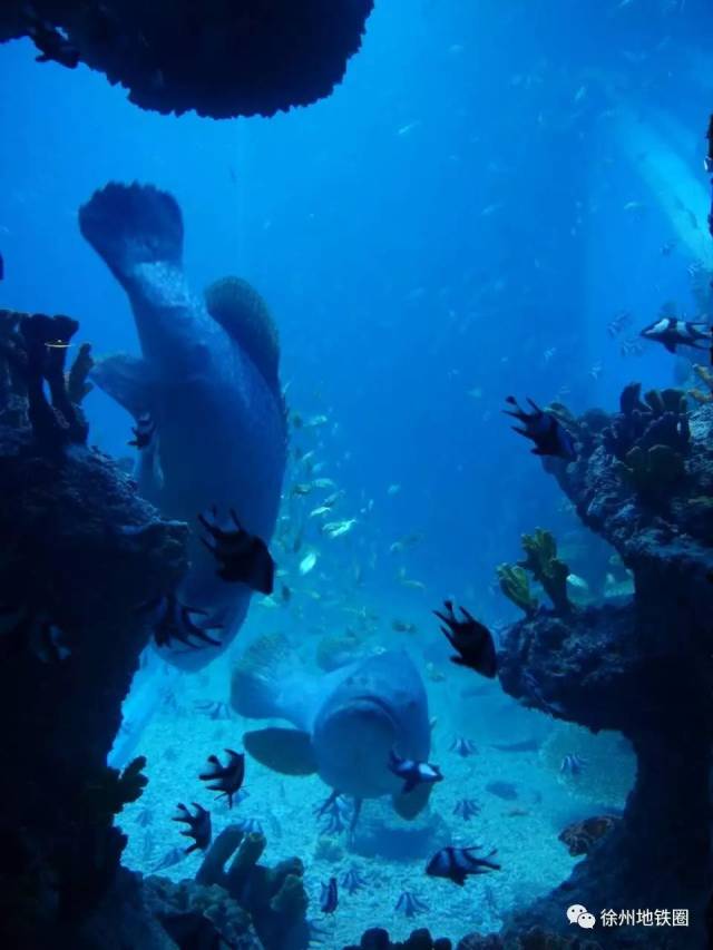 7c7ab53bf1b14ab5ada446f6210be6c5.jpeg