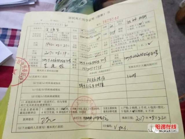 新洲全城寻找车祸目击证人!