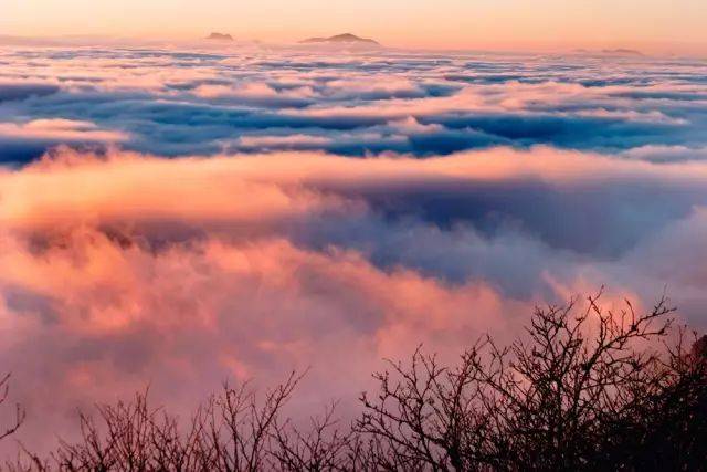 神农顶云海,当时正是夕阳西下,刚逢雨过天晴,云海翻腾,夕阳余晖反射在