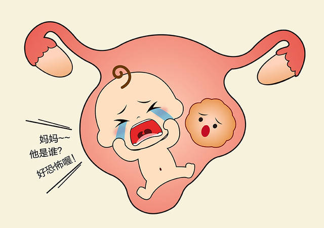 谁说排卵期同房一定会怀孕?