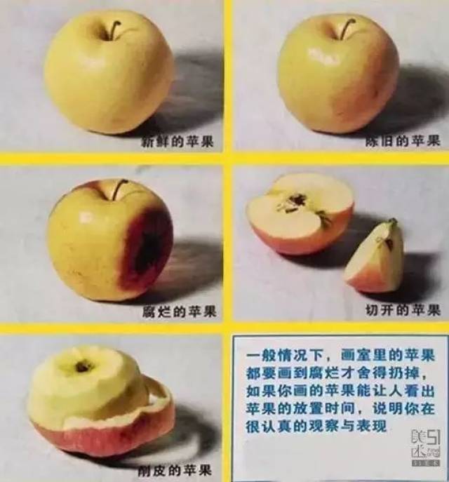 【素描】画好苹果不同品种,摆放,背景,视角等技巧这篇就够了!