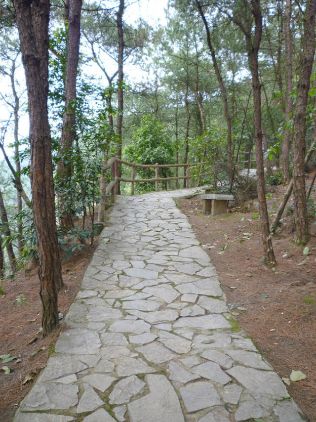重庆最美登山步道 | 秋高气爽爬起来!