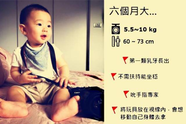 八个月婴儿身高体重标准 da03642233b647bf970f709515790281.jpeg