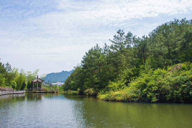 【公告】关于天台山天湖景区停业的公告