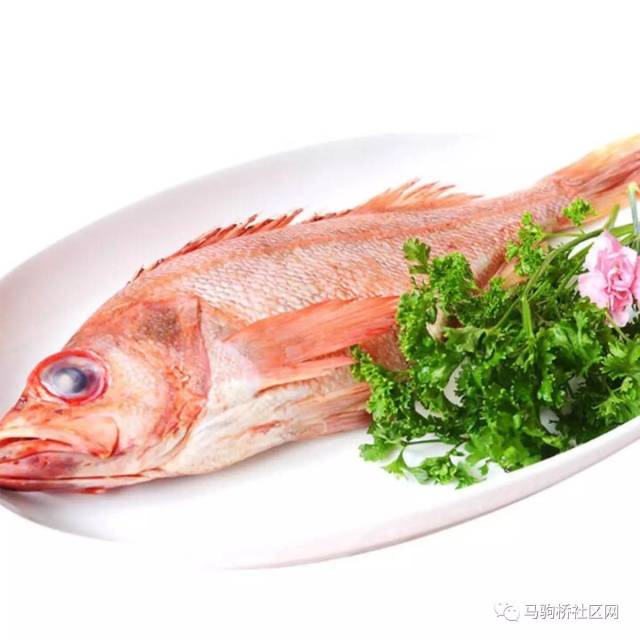 挪威红鱼