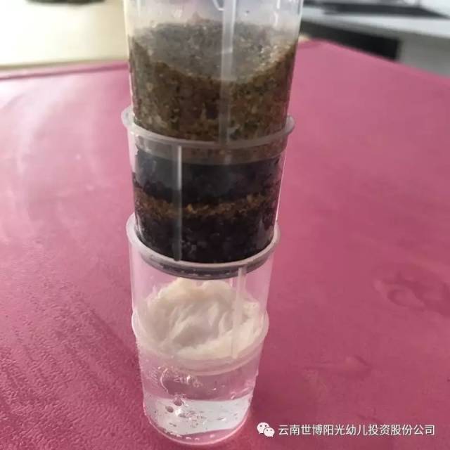 世博阳光《科学小实验——水的净化!》