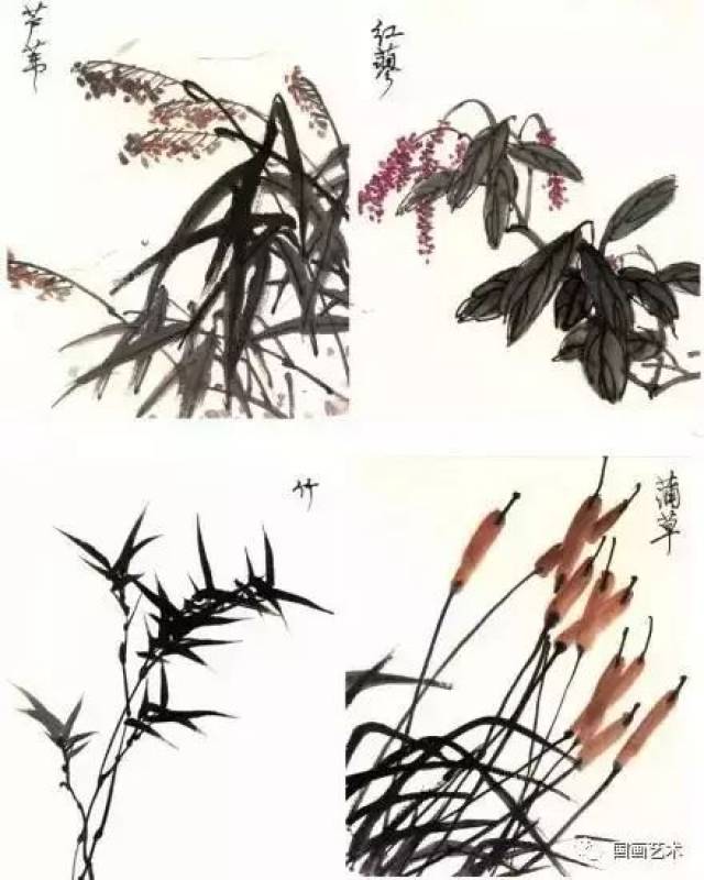 花鸟画技法教程:鹭的写意画法,国画苍鹭和芦苇的画法