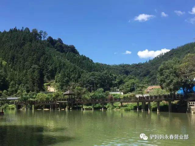 来永春,体验悬空在美景上的心跳,还能探秘酒香古街,听