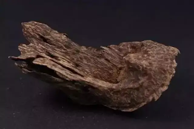 人们对沉香的药用价值认识越来越深