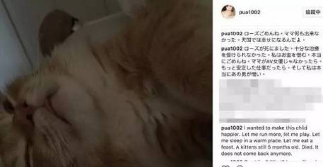 日本爱情动作片女演员惊人直播,内容居然是