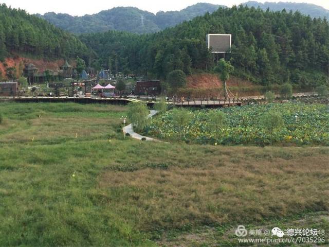 【德兴旅游】田园风光(德兴楼上楼)