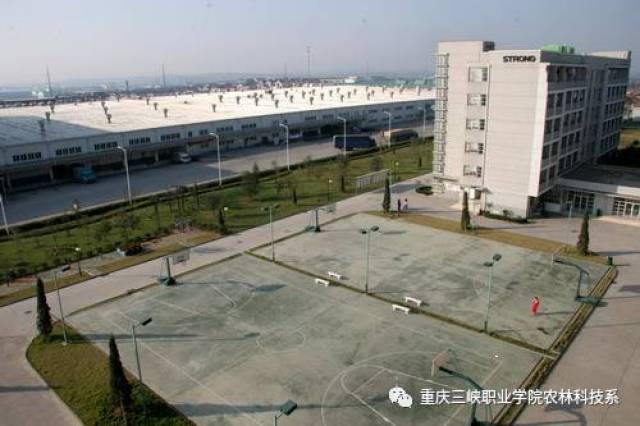厂区: 宿舍区: 就餐区: 因工作需要四川喜之郎食品有限公司校园招聘