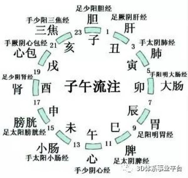 《子午流注口诀》注解(人体24小时活动的说明书)