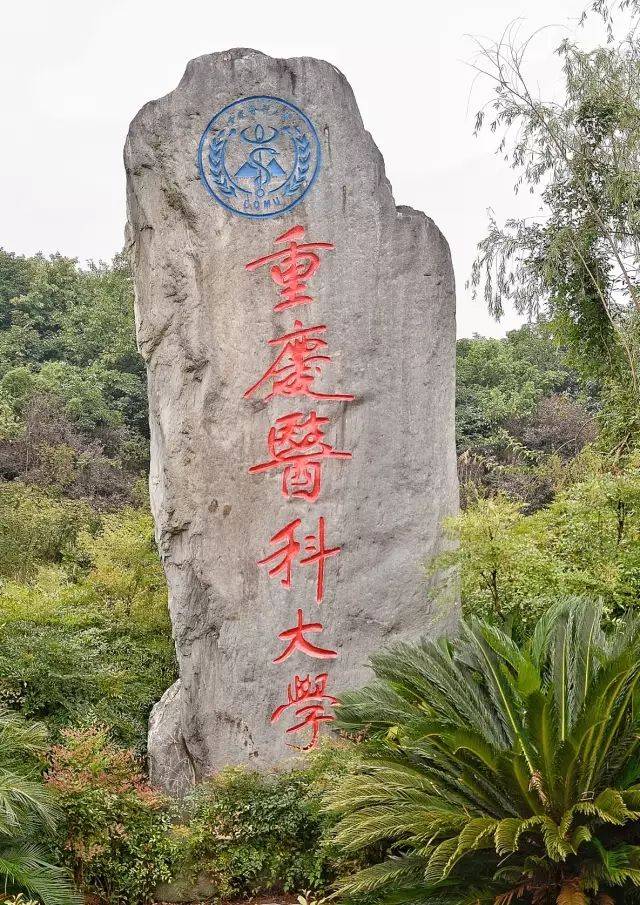 重庆医科大学也是重庆的一所重点大学,环境幽静,林中小径,岸上青柳,所