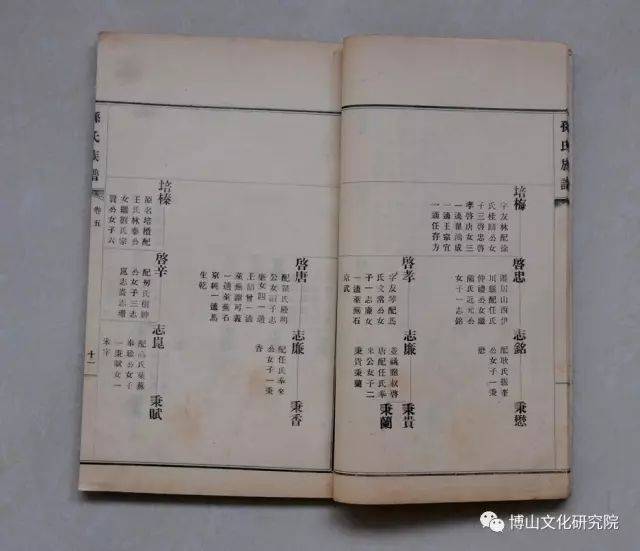明清时期"博山四大家族"之首的《颜山孙氏家谱世系初考》