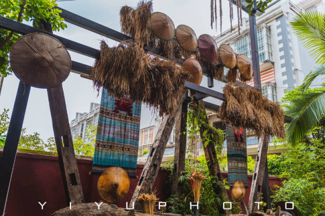 尋找綠色世界的冒險(xiǎn)——玩萬綠湖攻略游戲