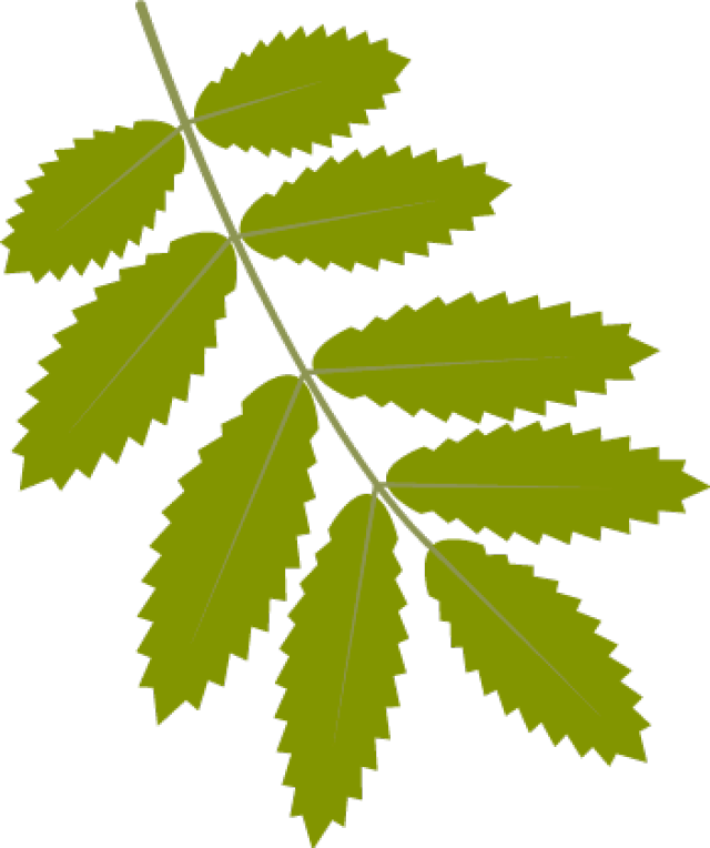 爸妈们别再给娃起这些名字.....