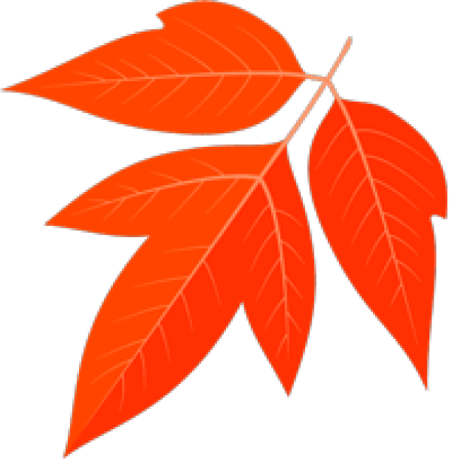 爸妈们别再给娃起这些名字.....