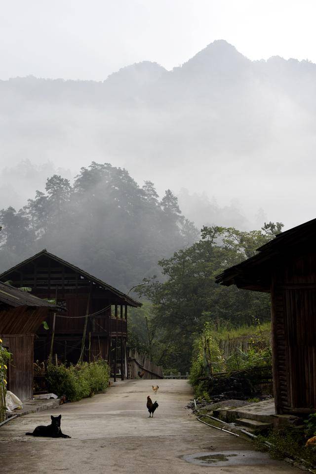 湘西采风,随拍大山里的那些木房子 摄影图集