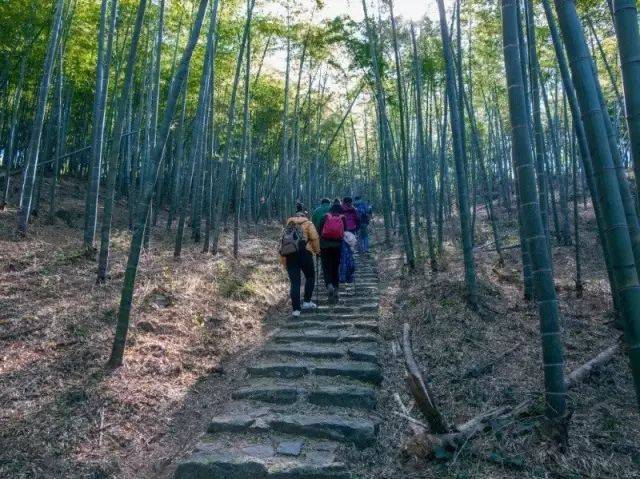在此野餐(干粮) 12:00 午后走莫干山最高峰塔山的怪石角森林的线路